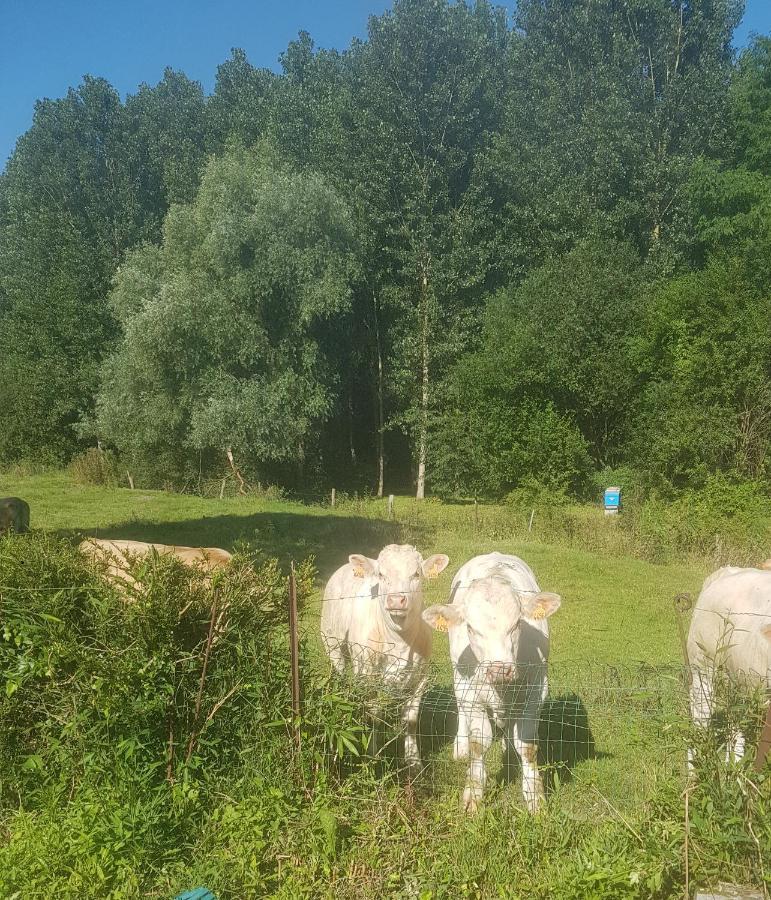הוילה Authuille Maison Au Bord De L'Ancre מראה חיצוני תמונה